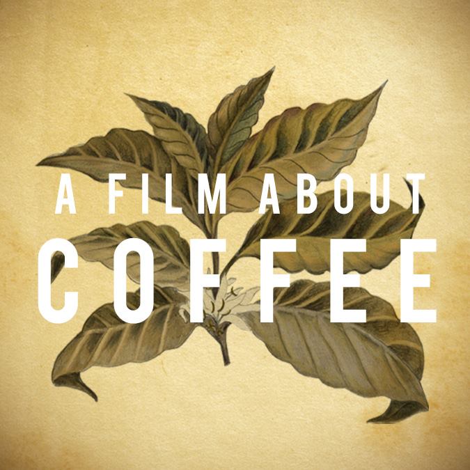 Coffee brewer, coffee brewers, water boiler, water boilers