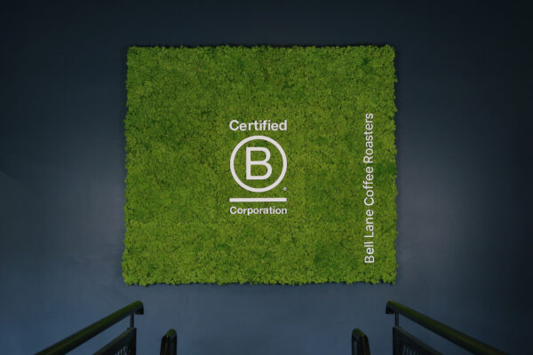How B Corp Changed Our Business: The Irish Perspective - Marco Beverage Systems